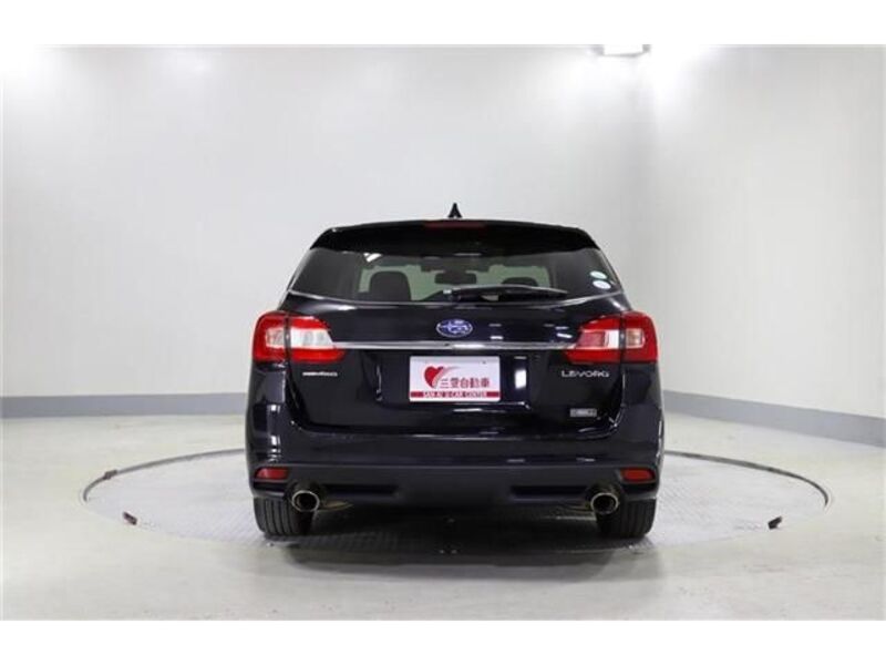 LEVORG