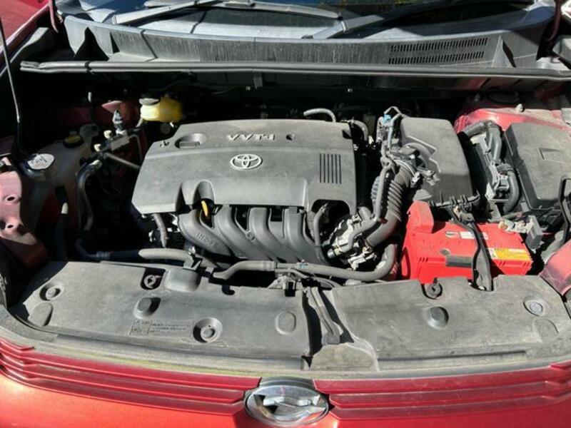 COROLLA RUMION