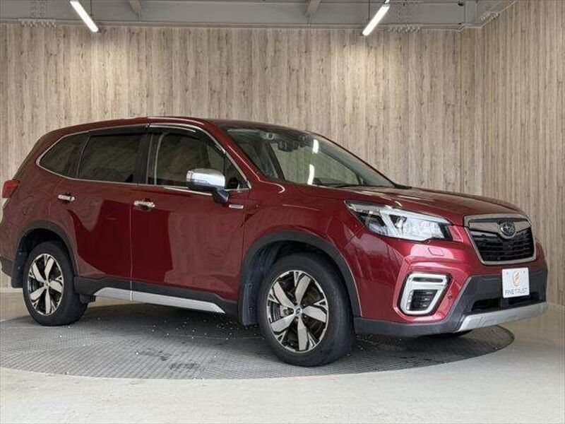 FORESTER