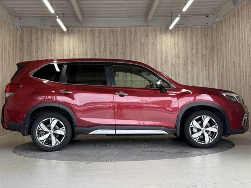 FORESTER