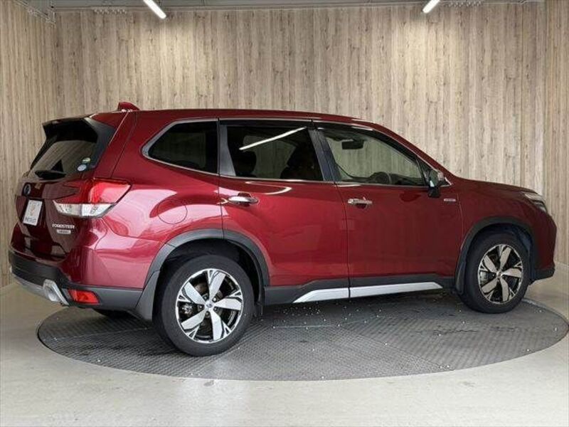 FORESTER