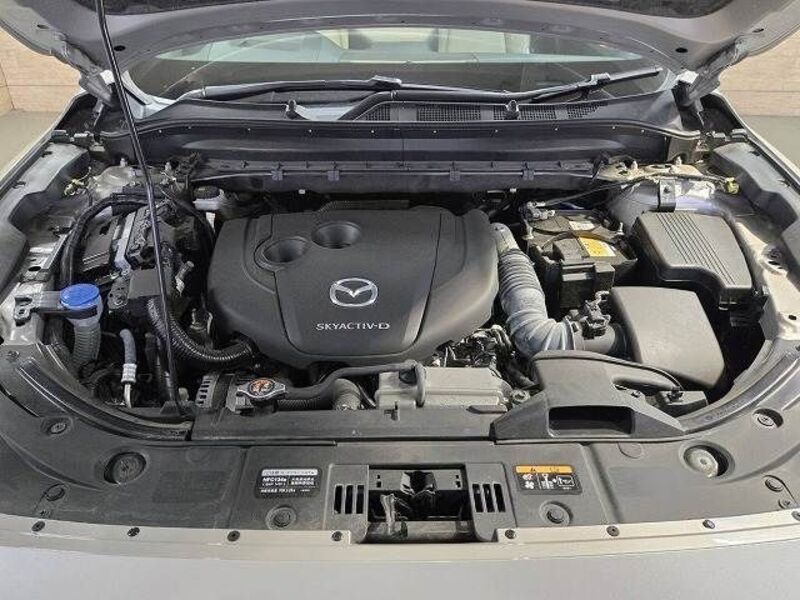 CX-8