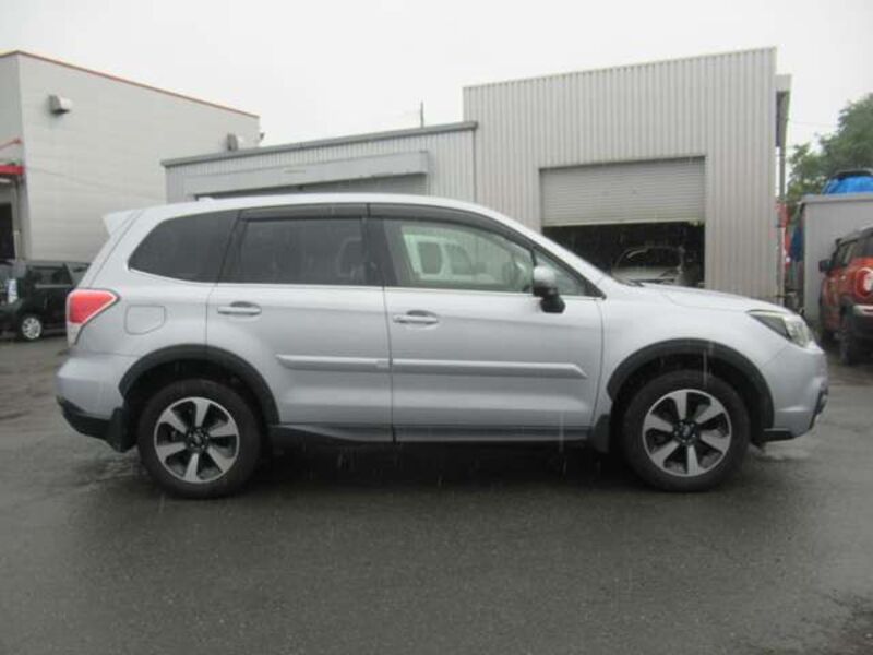 FORESTER