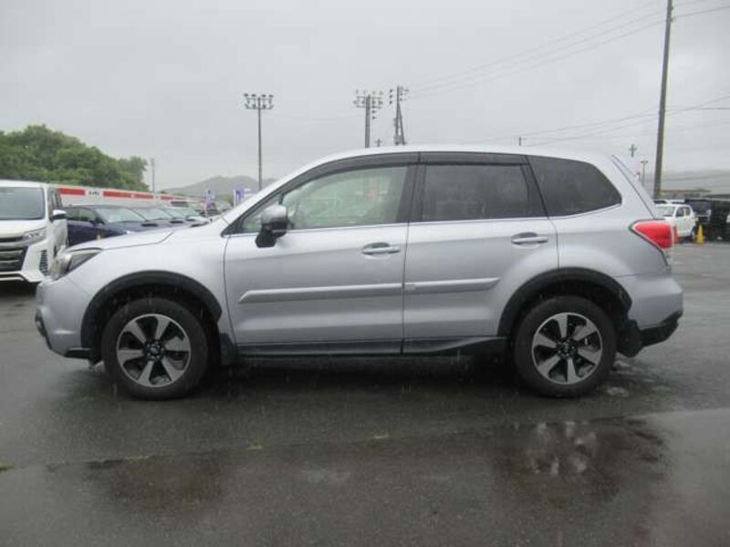 FORESTER