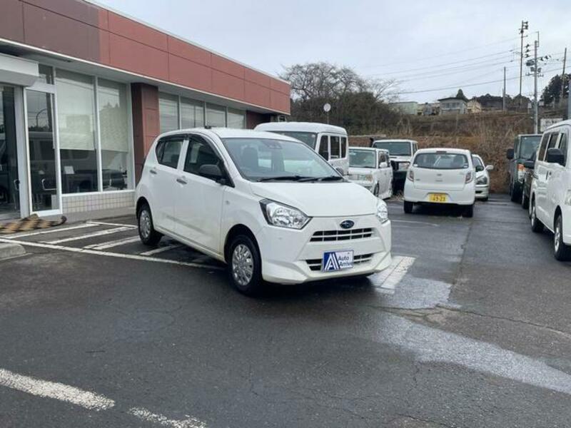 PLEO PLUS