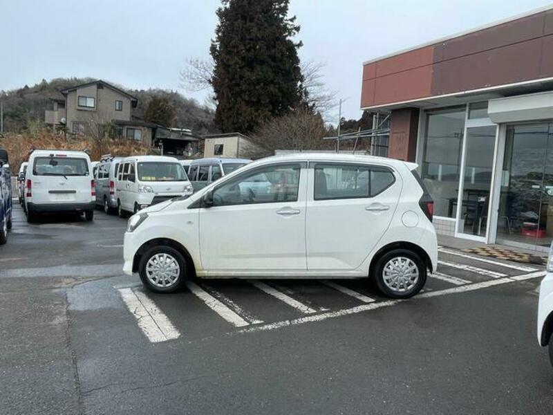 PLEO PLUS