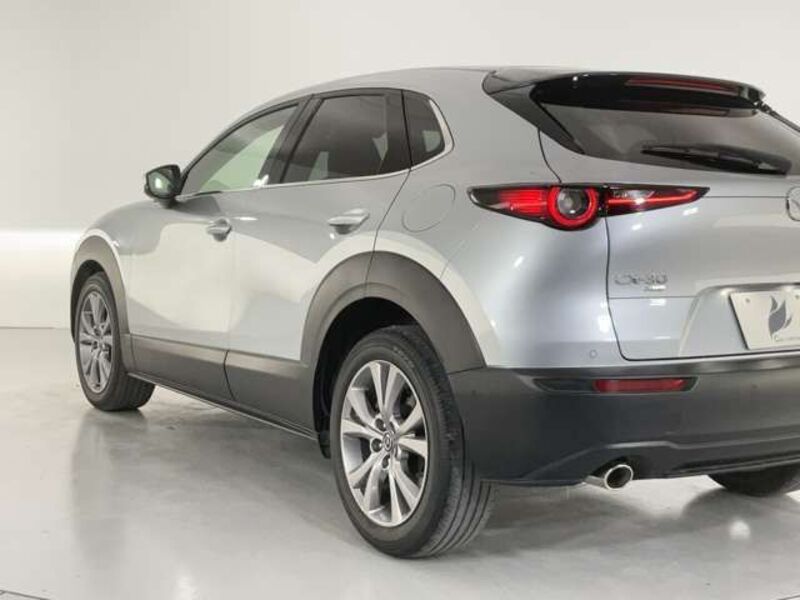 CX-30