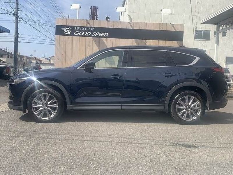 CX-8
