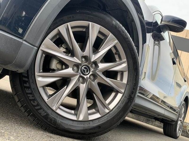 CX-8