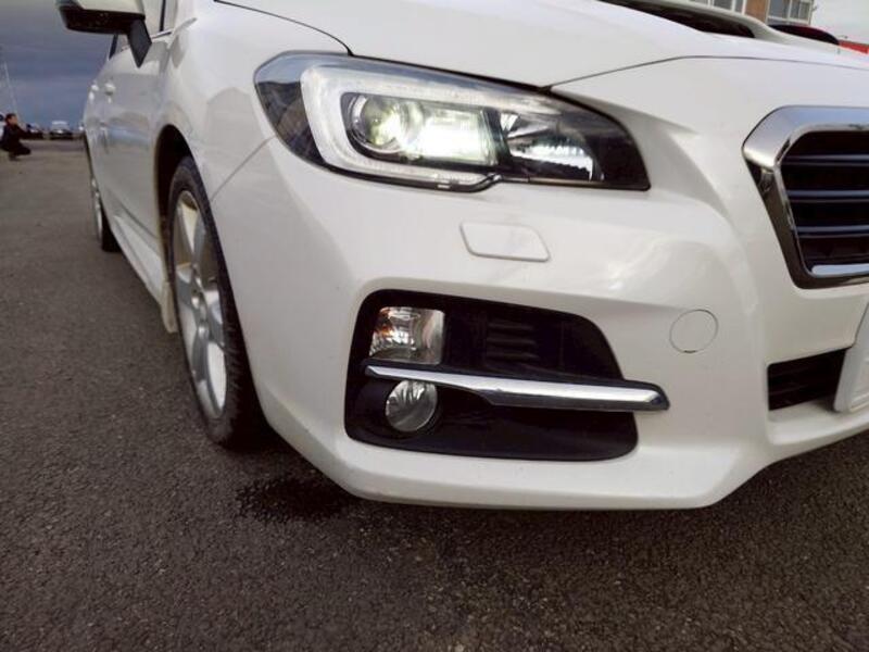 LEVORG