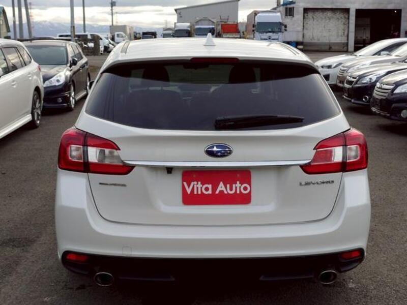 LEVORG