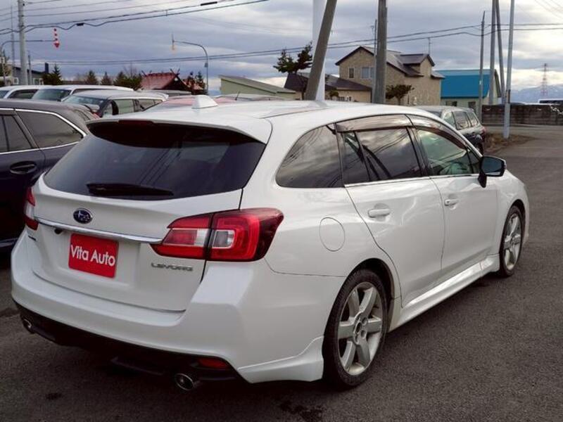 LEVORG