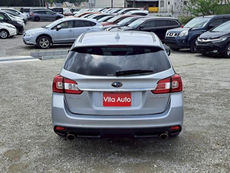 LEVORG