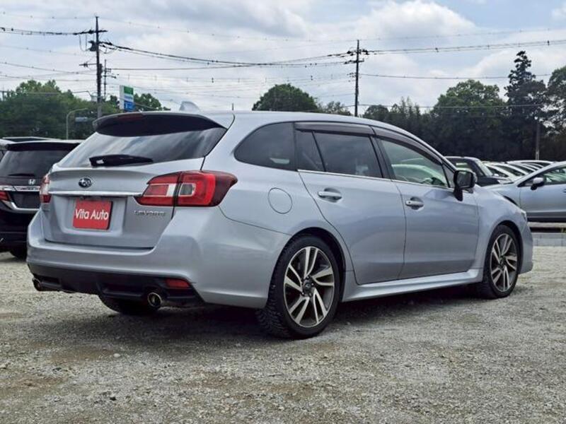 LEVORG