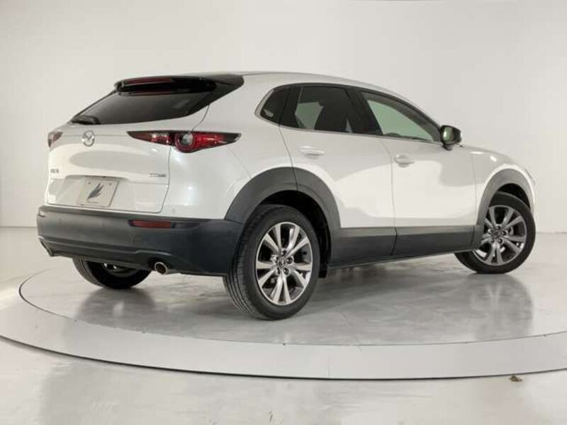 CX-30