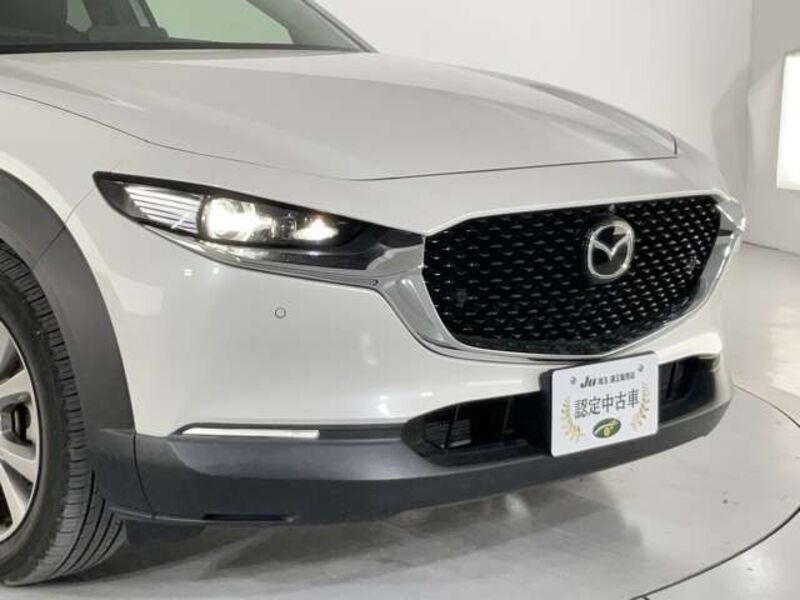 CX-30