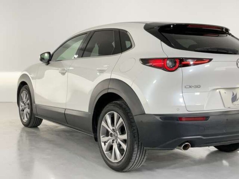 CX-30