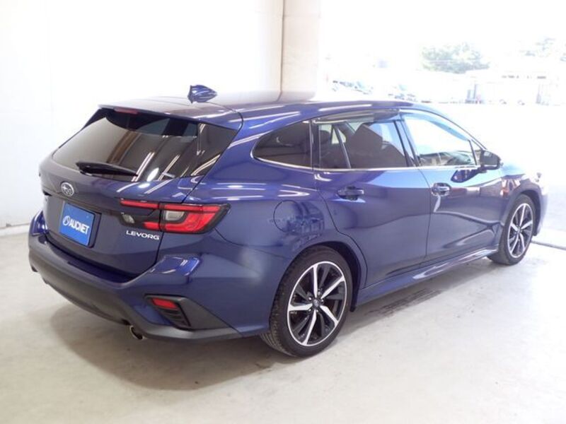 LEVORG