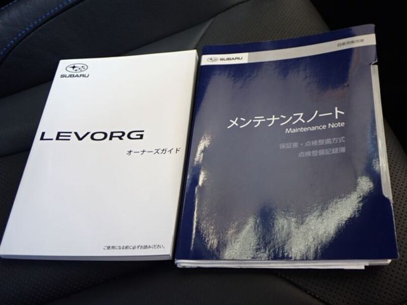 LEVORG