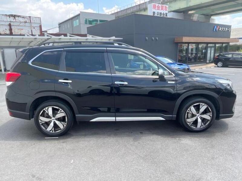 FORESTER