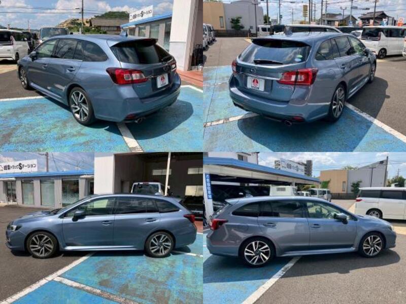 LEVORG