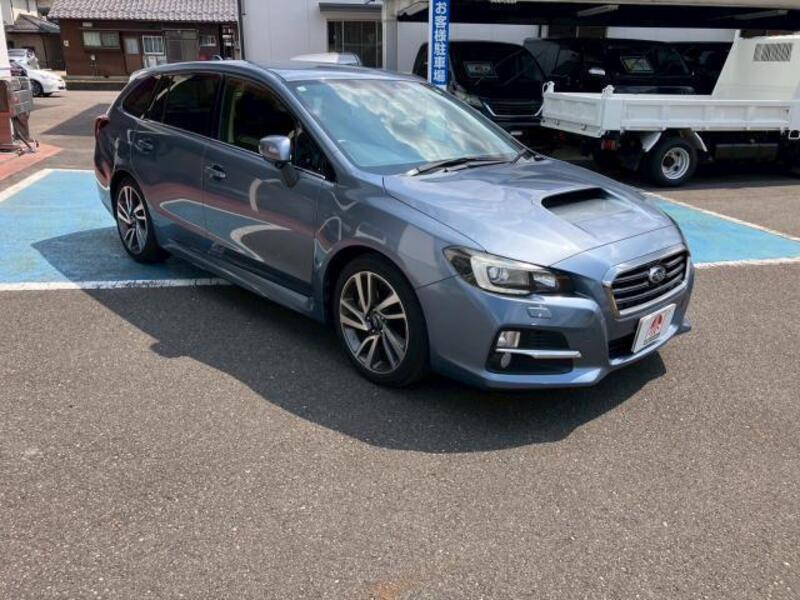 LEVORG-0