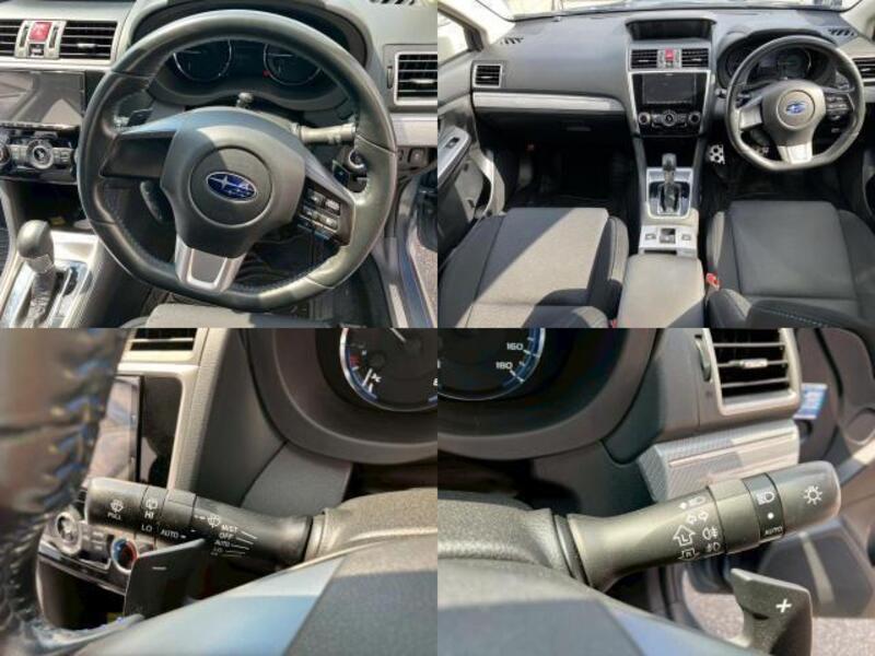 LEVORG