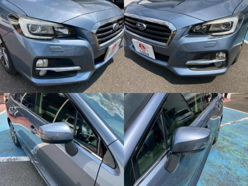 LEVORG