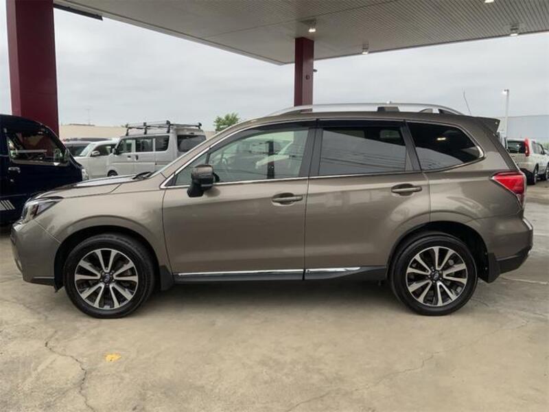 FORESTER