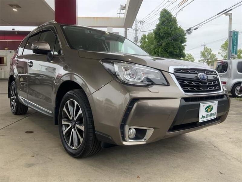 FORESTER
