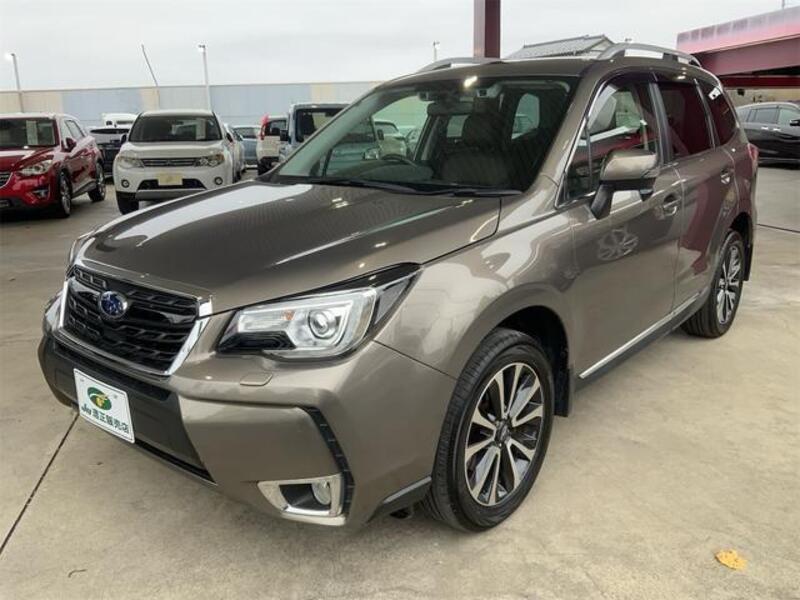 FORESTER