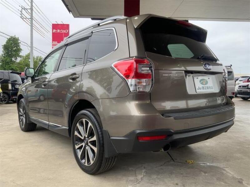 FORESTER