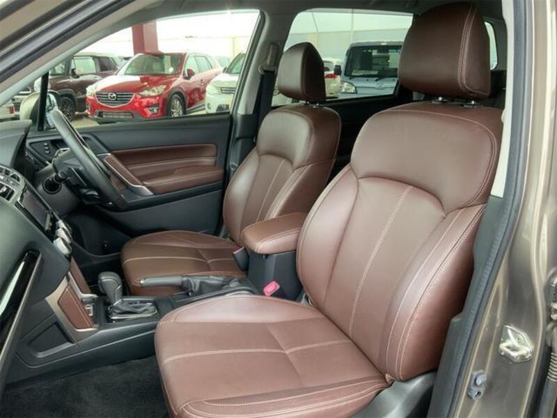 FORESTER