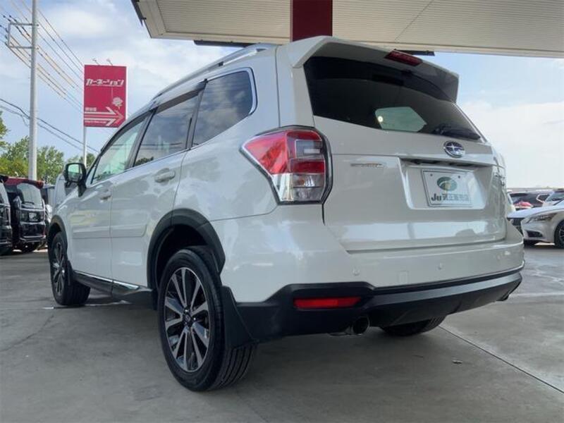 FORESTER