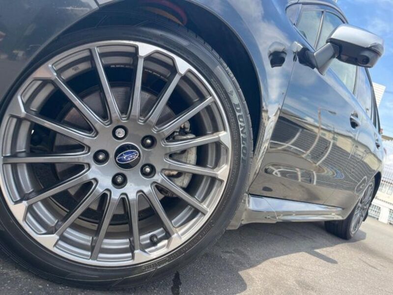 LEVORG