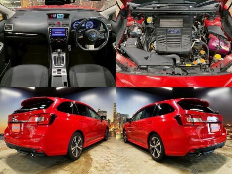 LEVORG