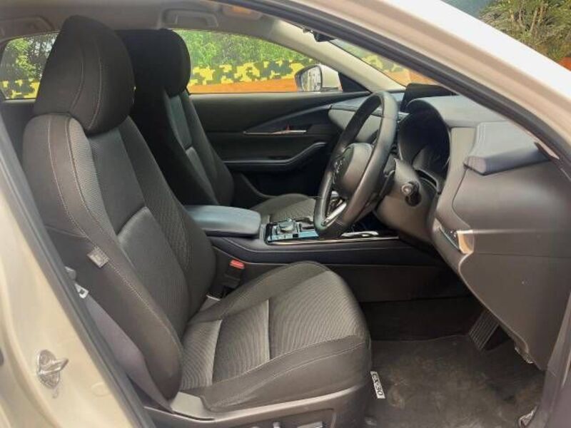 CX-30