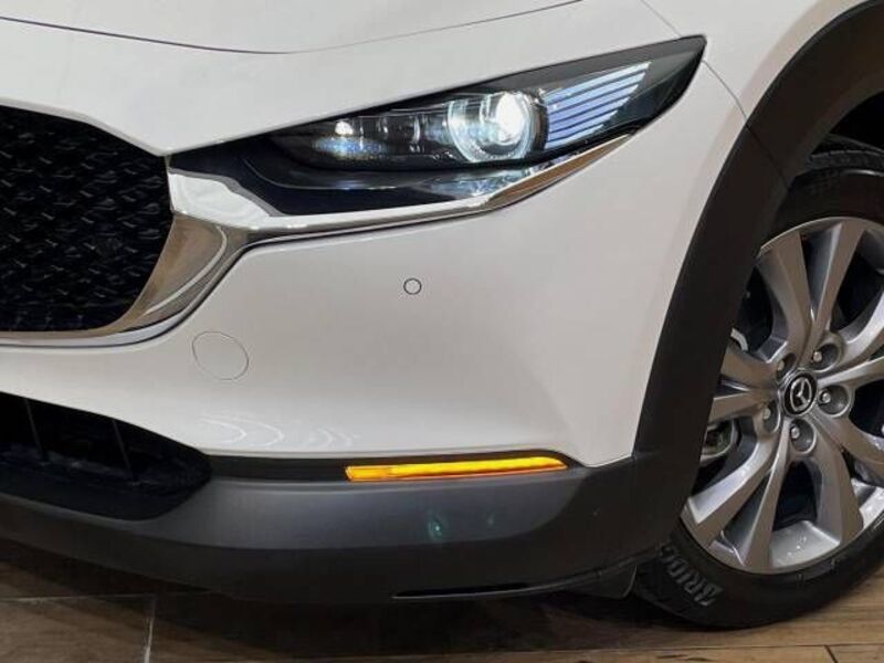 CX-30