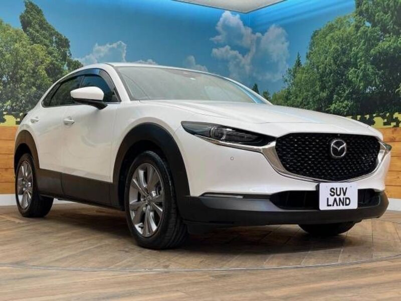 CX-30