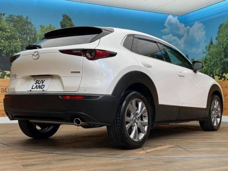 CX-30