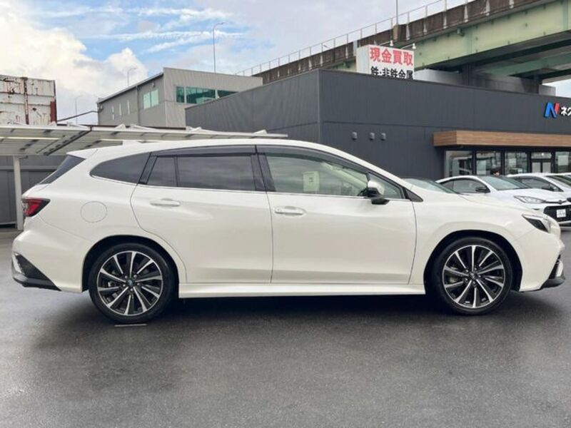 LEVORG