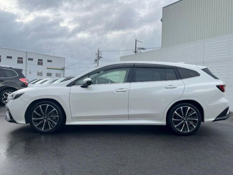 LEVORG