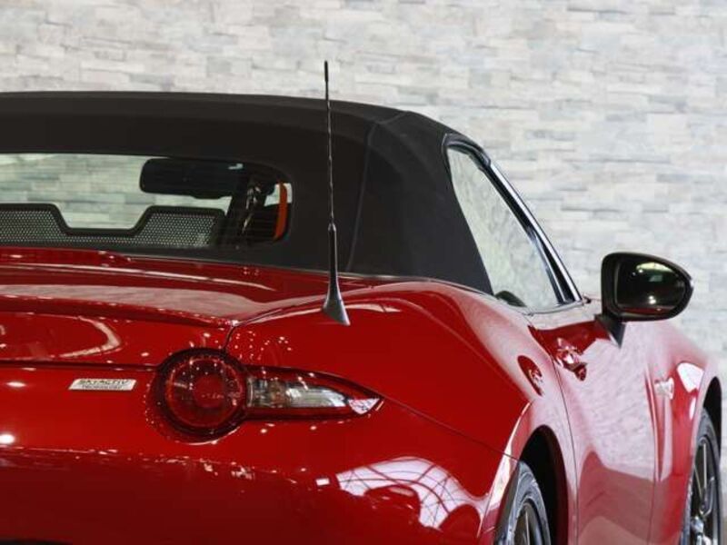 ROADSTER