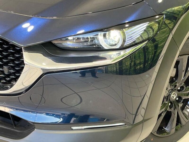 CX-30