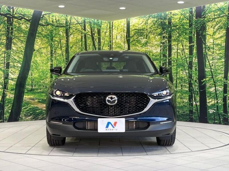 CX-30