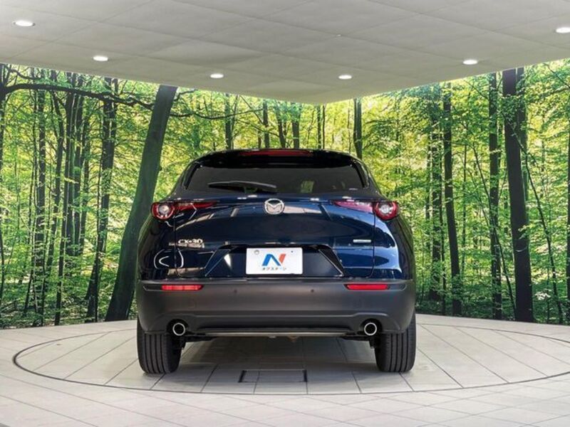 CX-30