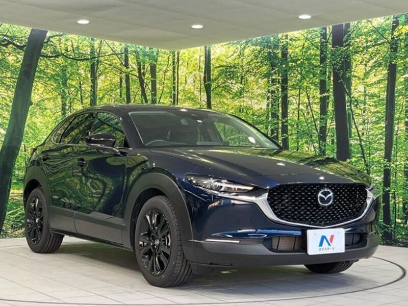 CX-30