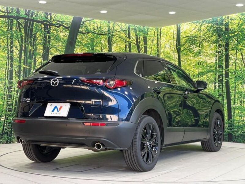 CX-30