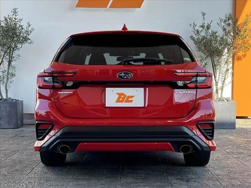 LEVORG