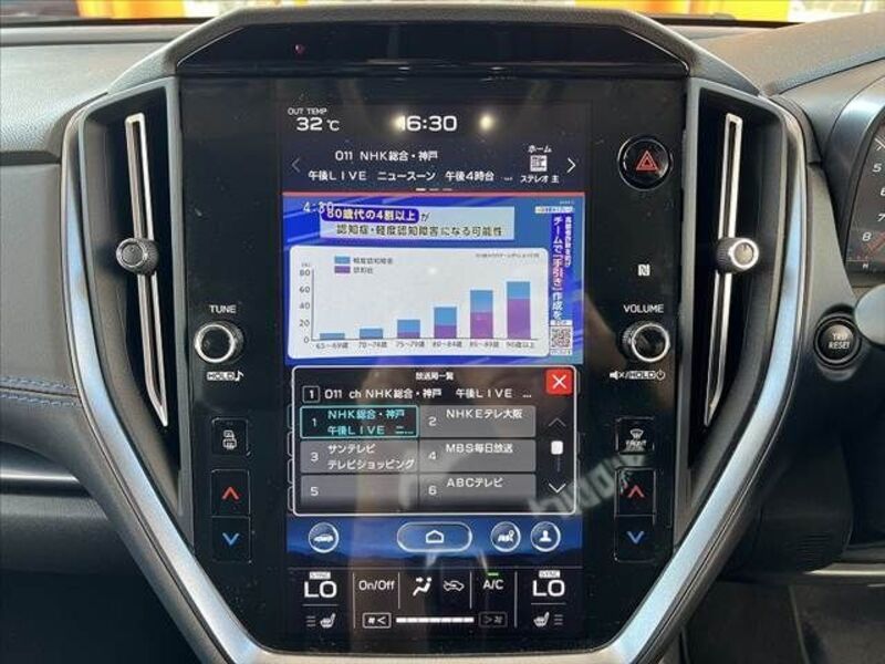 LEVORG